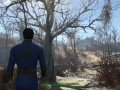 Fallout4_E3_Tree_1434324017