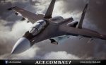 Геймплей Ace Combat 7 в шлеме PS VR